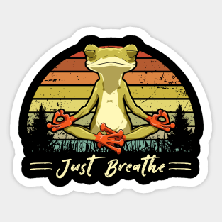 Yoga Frog Just breath Sticker